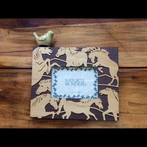 Natural Wonders horse frame🐎🐎🐎